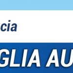 banner_top