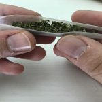 Cannabis legale Milano