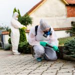 Disinfestazione Roma