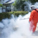 Azienda disinfestazioni Roma