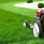 Manutenzione giardini Roma e dintorni