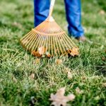 Ditta manutenzione giardini Roma