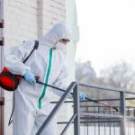Disinfestazione processionaria Zucchet